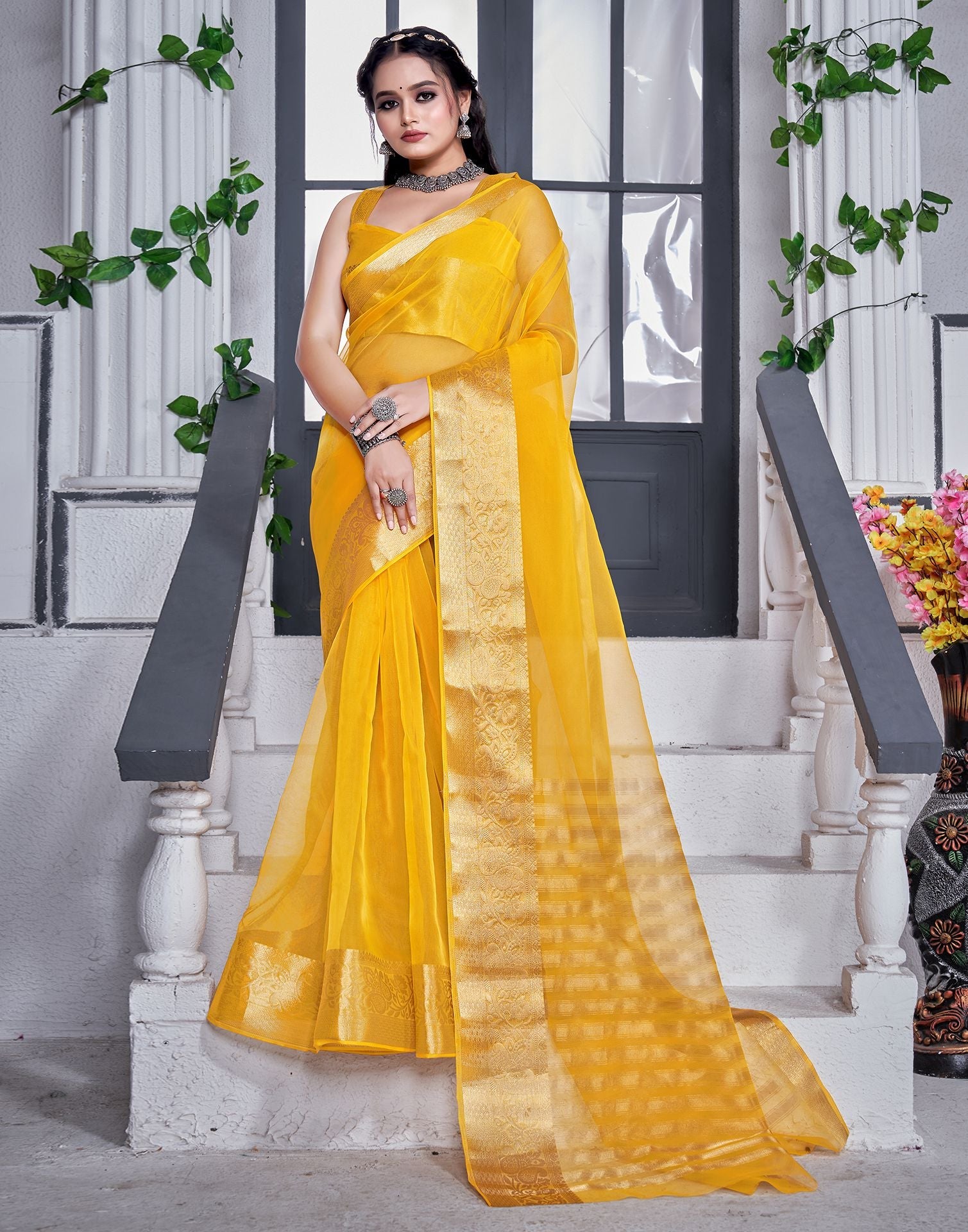 Stone work Tissue-Organza Saree – Label Disli