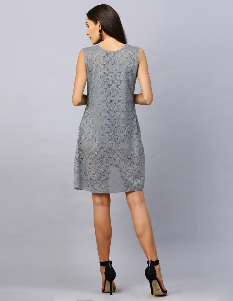 Grey Coloured Net Russell Net Dress | Leemboodi