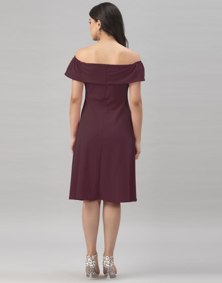 Stylish Dark Brown Coloured Knitted Lycra Dress | Leemboodi