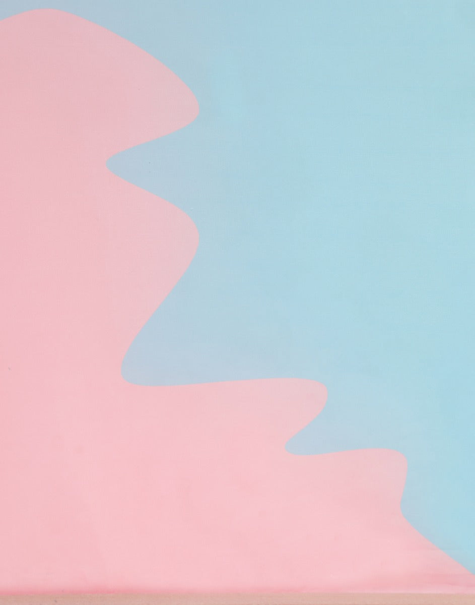 Multicoloured Organza Saree | Leemboodi