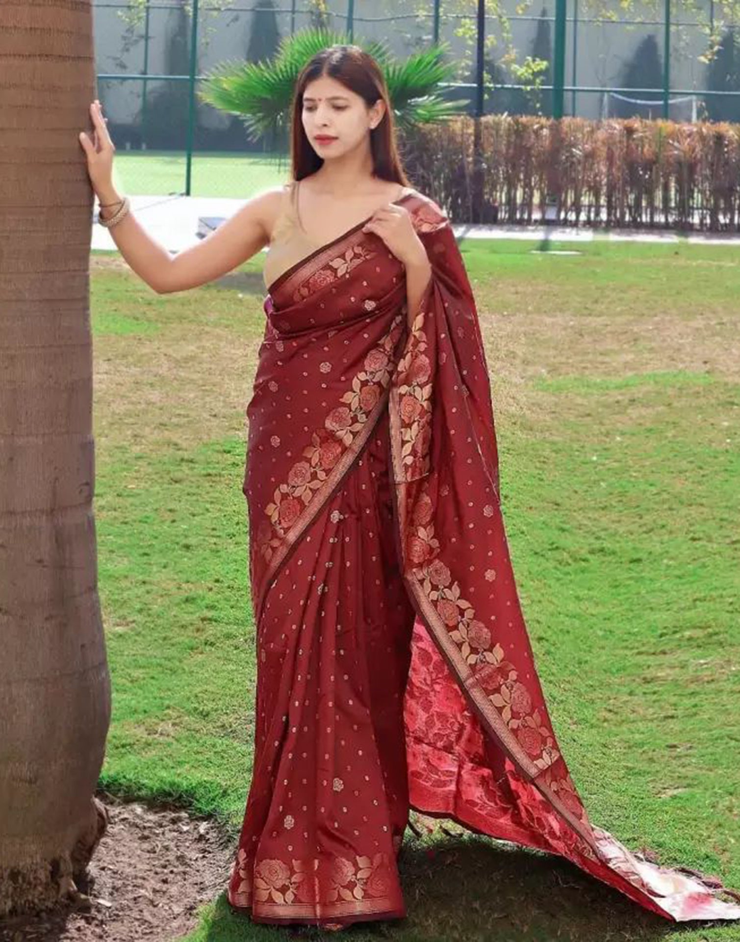 Net Beige Saree at Rs 1899 in Delhi | ID: 15656694830